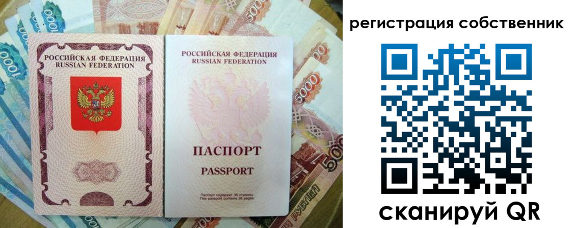 прописка гарантия в Мурино